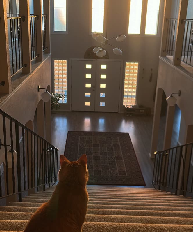Calcifer keeping watch over the stairwell