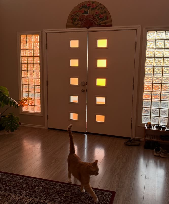 Evening light through the front door